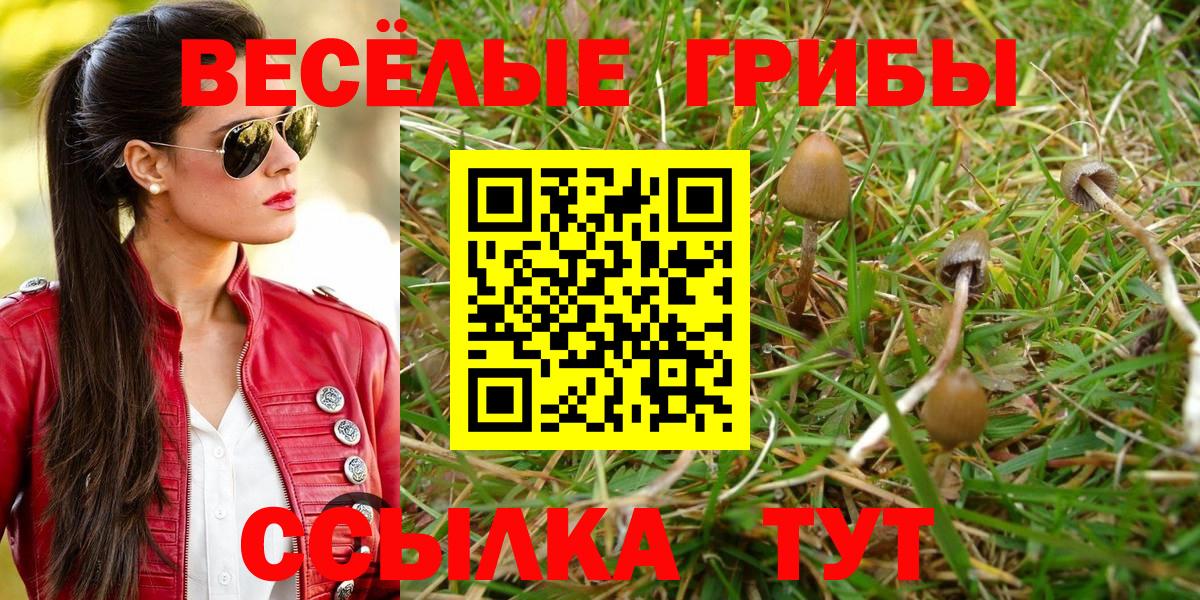 Добрянка  где купить   Вход с VPN  Галлюциногенные грибы мухоморы 